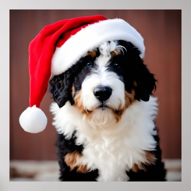 Poster Noël Bernedoodle (Devant)