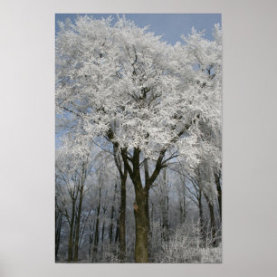 Poster Noël blanc