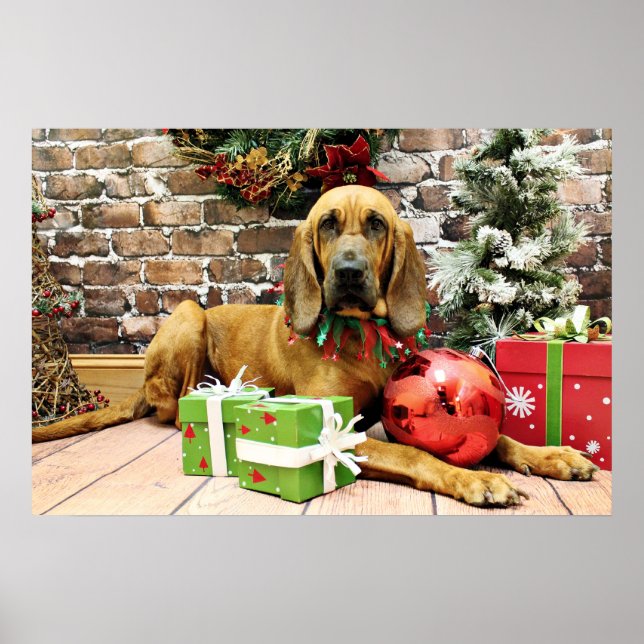 Poster Noël - Bloodhound - Penney (Devant)