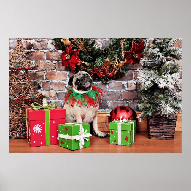 Poster Noël - Carlin - Lily Lou (Devant)