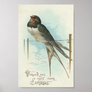Poster Noël de cru d'hirondelle de grange