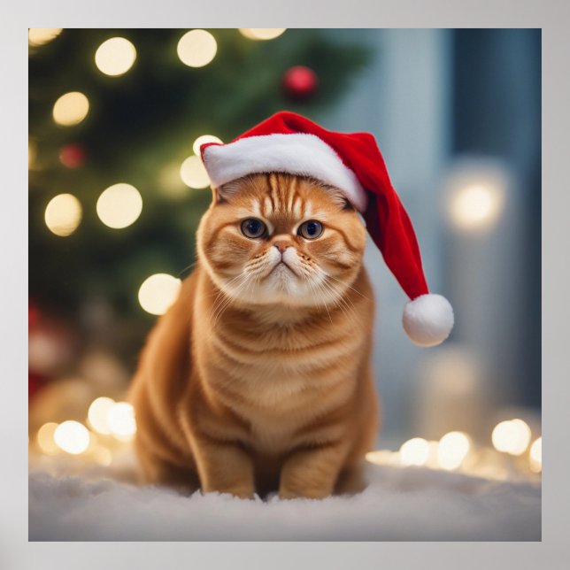 Poster Noël Exotique Shorthair (Devant)