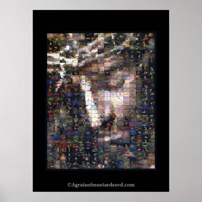 Poster Noël Jésus (Devant)