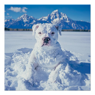 Poster Noël Pitbull Chien Snowman