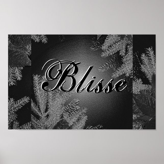 Poster Noel Poinsettia Blisse II Noir Et Gris (Devant)
