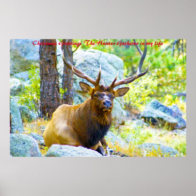 Poster Noël Salutations du chasseur Rassembleur dans ma v (Devant)