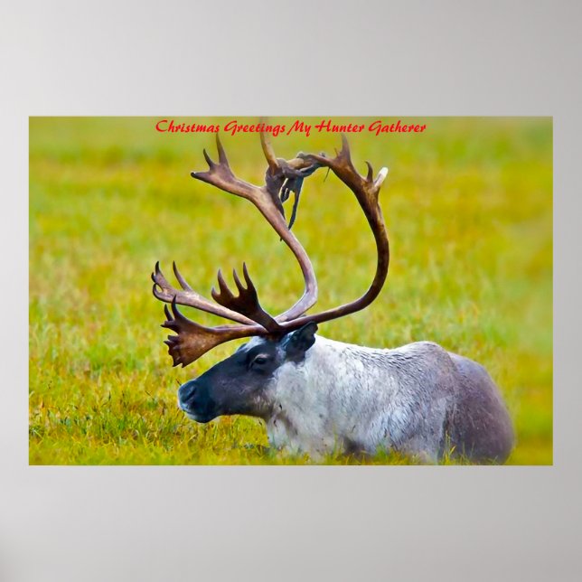 Poster Noël Salutations Mon Hunter Gatherer (Devant)