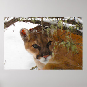 Poster Noël salutations Papa Hunter Gatherer