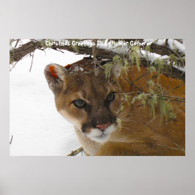 Poster Noël salutations Papa Hunter Gatherer (Devant)