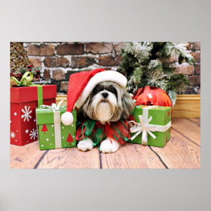 Poster Noël - Shih Tzu - Vince