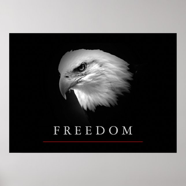 Poster noir blanc de l'aigle de la liberté (Devant)