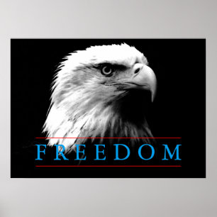 Poster noir blanc Liberté American Eagle