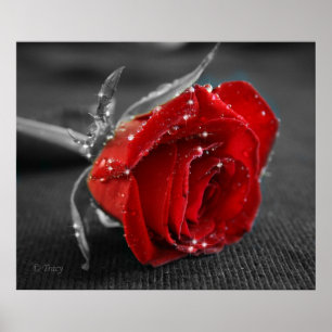Poster Noir/blanc/rouge