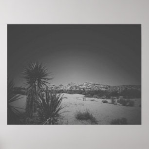 Poster Noir cinématique Noir noir et blanc Joshua Tree
