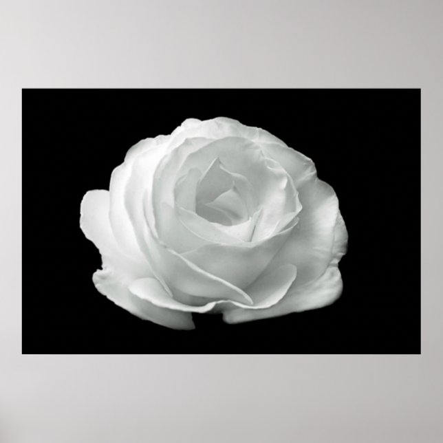 Poster noir et blanc (Devant)