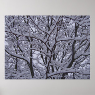 Poster Noir et blanc