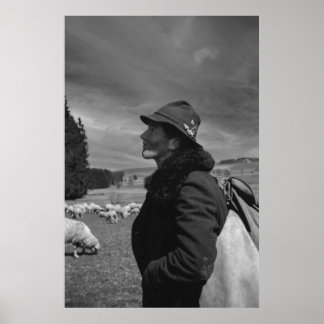 Poster Noir et blanc 1968 Herder allemand de mouton