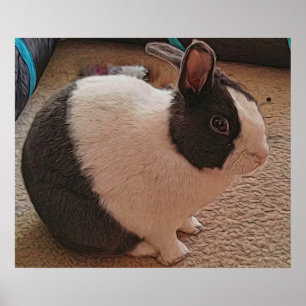 Poster noir et blanc Bunny