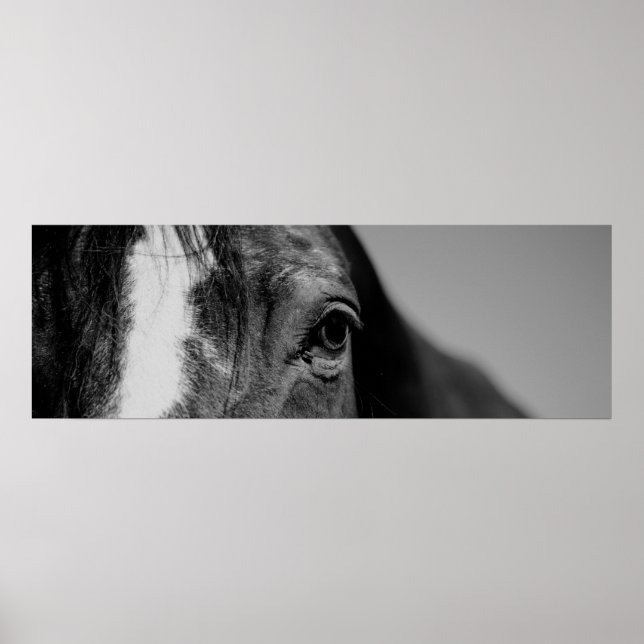 Poster Noir et blanc Gros plan Cheval Oeil (Devant)