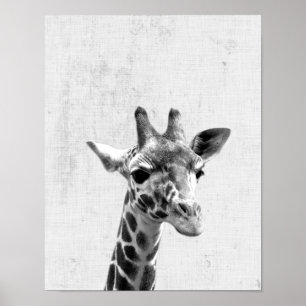 Poster Noir et blanc Peekaboo Giraffe minimaliste Nursery