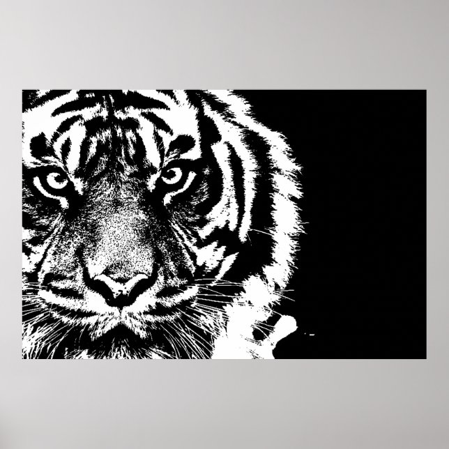 Poster Noir et blanc Sumatran Borneo Tiger (Devant)