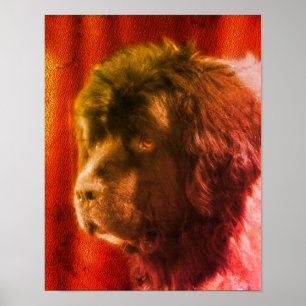 Poster Noir Et Blanc Terre-Neuve Chien Visage Abstrait
