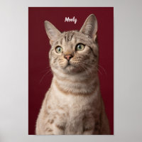 Nom de chien et de chat personnalisé Imprimantes p