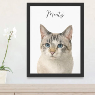 Poster Nom de script de portrait de chat de compagnie à l