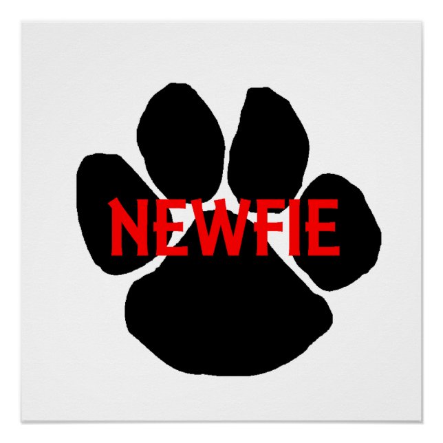 Poster nom de terre-neuve patte (Devant)