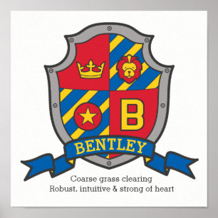 Poster Nom des garçons Bentley signifiant lettre de boucl