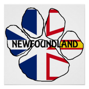 Poster nom du drapeau de Terre-Neuve-et-Labrador patte