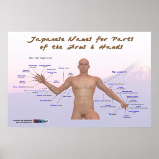 Poster Noms japonais de parties des bras et des mains