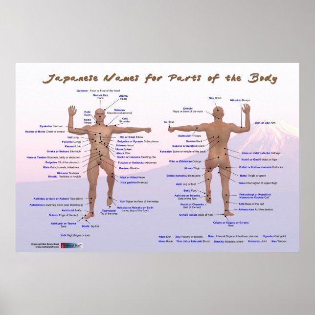 Poster Noms japonais pour les parties du corps (Devant)