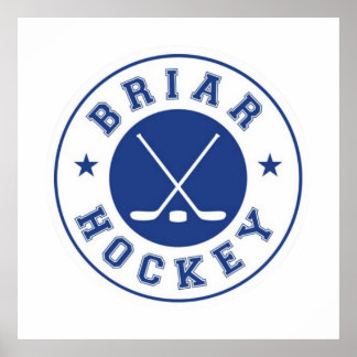 Poster NON OFFICIEL Briar U Hockey | Hors campus