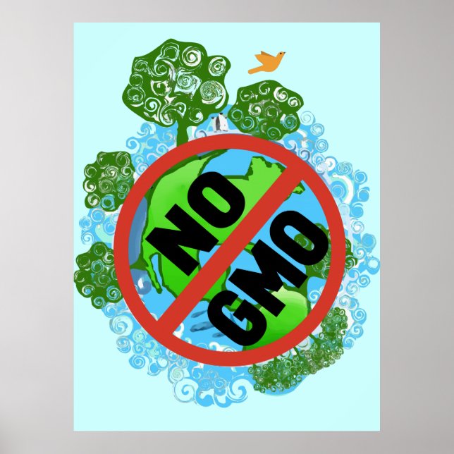 POSTER NON OGM (Devant)