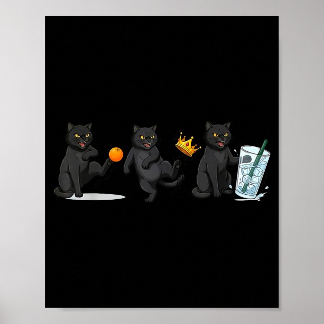 Poster Non, pas de rois, pas de chat de glace mème politi (Devant)