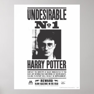 Poster Non souhaitable No 1