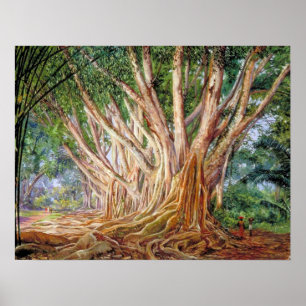 Poster Nord - Avenue Des Arbres Indiens En Caoutchouc, Pe