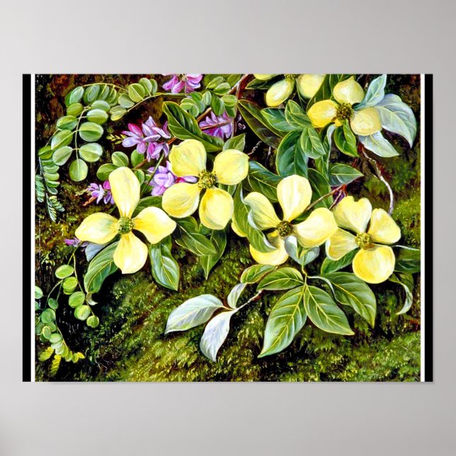 Poster Nord - Fleurs d'un Dogwood et d'un Indigo, floral (Devant)