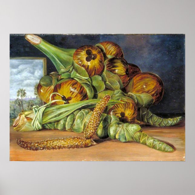 Poster Nord - Fleurs, Fruits, Palmyre, Java 1870 (Devant)