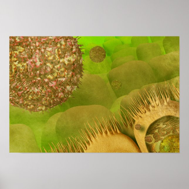 Poster Norovirus dans le tractus gastro-intestinal (Devant)