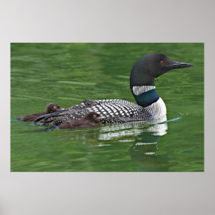 Poster North America, Canada, British Columbia, Lac 2