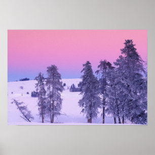 Poster North America, USA, Montana, Yellowstone