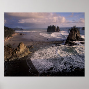 Poster North America, USA, Washington, Olympic NP,