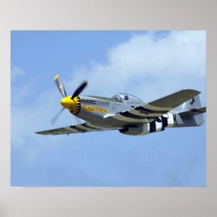 Poster North American P-51D Mustang, Petit Cheval