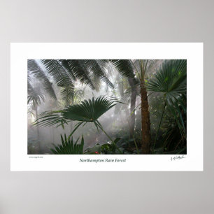 Poster Northampton Rain Forest I