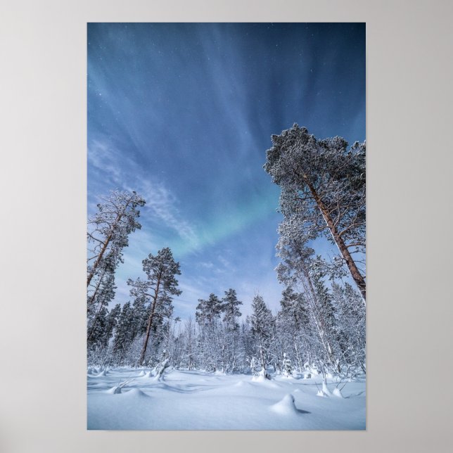 Poster Northern Lights Norvège (Devant)