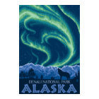 Northern Lights - Parc national de Denali, Alaska