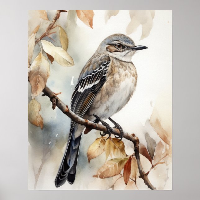 Poster Northern Mockingbird Bird Art Imprimer l'affiche (Devant)