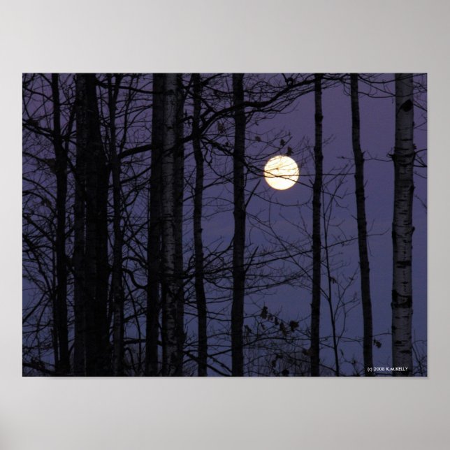 Poster Northwoods Moon. (Devant)